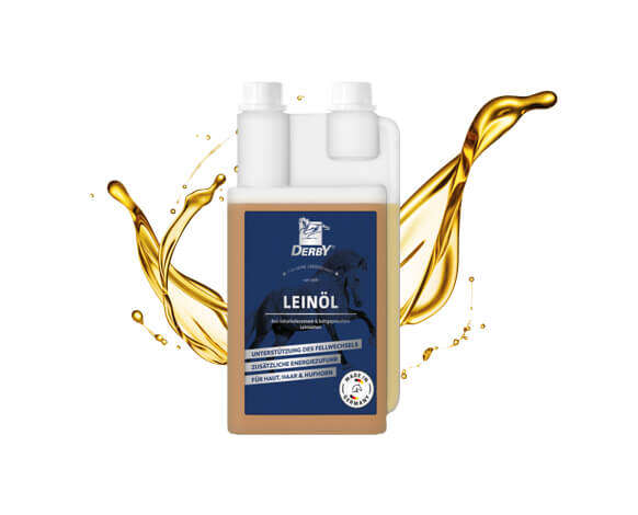 seo derby leinoel seo derby leinoel